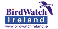 Birdwatch logo