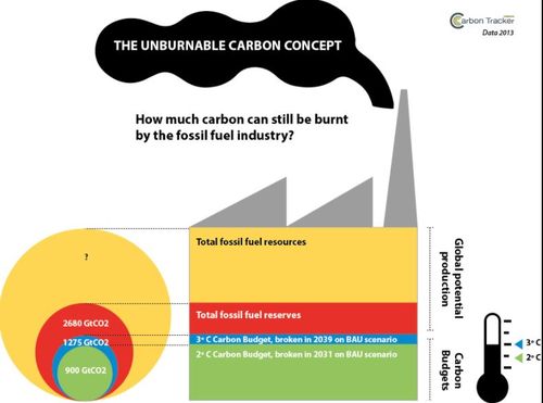 Carbon Budget